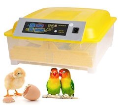 Egg Incubator 48 Eggs Digital Incubator With Automatic Egg Turning Fertilized Chicken Duck Goose Turky Quail Brids Eggs For Hatching 48