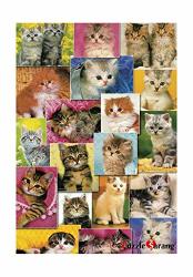 Puzzlelife Kittens 1000 Piece - Large Format Jigsaw Puzzle. Can Be Enjoyed By All Generation. Beautiful Decoration Pleasant Play
