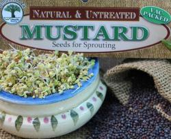 Mustard Sprouting Seeds - 100g
