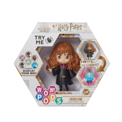 Wizarding World-hermione