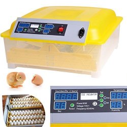 Keland 48 Digital Clear Egg Incubator Hatcher Temperature Control Automatic Egg Turning Poultry Incubator Us Stock