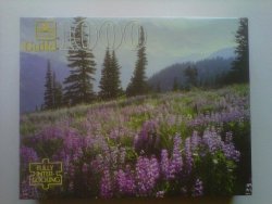 Guild 1000 Piece Puzzle - Mt. Rainier By Western Publishing Company
