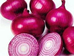 Heirloom Vegetable Seeds - Red Creole Onion - 20 Seeds