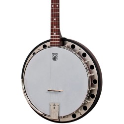 Deering Classic Goodtime 2 Plectrum Banjo