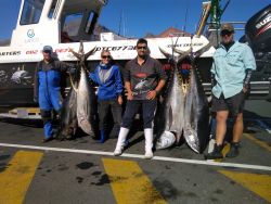 CAPE TOWN - Cape Point Offshore Tuna Fishing Charter - Join A Charter