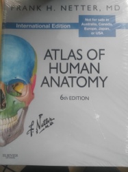 Frank Netter's Atlas Of Human Anatomy 6th Ed