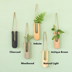 Decorative Wall Propagation Vase - Natural Light