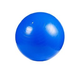 Hefeilzmy Skyflying 55CM-75CM Fitness Balls Anti-burst Slip Resistant Yoga Ball Workout Stability Balance Ball Gym Ball Training And Physical Therapy BLUE-75