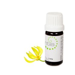 Escentia Ylang Ylang III Pure Essential Oil - 50ML