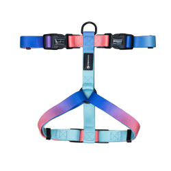 Missy Harness - Dog Harness - Medium