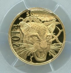 Pcgs Secure + South Africa 2014 Leopard - Natura Proof70dcam Proof Gold Coin - Perfect Proof