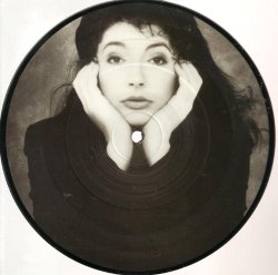Kate Bush This Woman's Work UK Picture Disc 45 W Insert