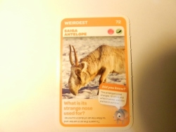 Deals on Pick 'n Pay Super Animal Card Xxx Saiga Antelope 72 Weirdest Xxx |  Compare Prices & Shop Online | PriceCheck