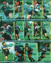 1996 Sports Deck Currie Cup Collection - Blue Bulls Base Cards Full Set 14 Cards