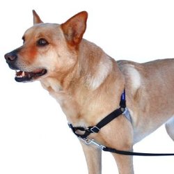 PetSafe Easy Walk Large Black Dog Harness