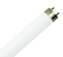 ACDC Dynamics Acdc 16MM T5 54W Cool White 1149MM Fluorescent Lamp