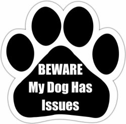 Beware My Dog Has Issues" Car Magnet With Unique Paw Shaped Design Measures 5.2 By 5.2 Inches Covered In Uv Gloss For Weather Protection