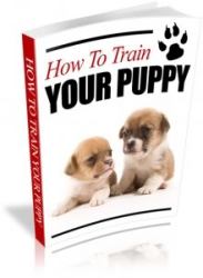 How To Train Your Puppy? - Ebook