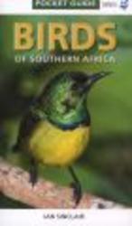 Birds Of Southern Africa Paperback