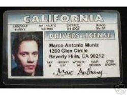 Marc Anthony - Collector Card