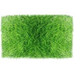 Evergreen Press Evergreen Artificial Grass 1 Tone 10MM2.00 X 7.00