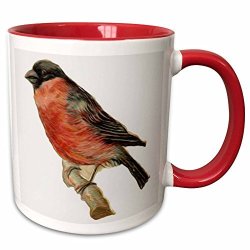 3DROSE MUG_104659_5 Vintage Perched Red Robin Bird Illustration Ceramic 11 Oz Red white