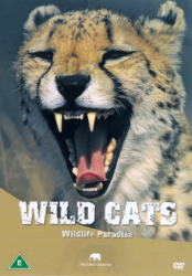 Wild Cats DVD