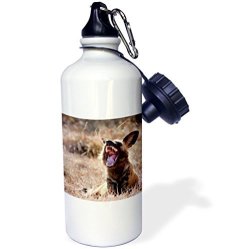 3DROSE WB_76254_1 "namibia Harnas Wildlife African Wild Dog WILDLIFE-AF31 BJA0359 Janyes Gallery" Sports Water Bottle 21 Oz White