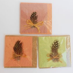 Feather Greeting Card & Envelope - Orange Card earth Env