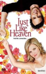 Just Like Heaven DVD
