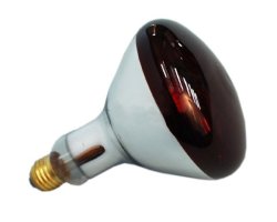 Chicken Sicca Thermo Lamp Globe - Par 38 250W