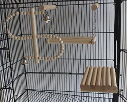 bird cage with swing