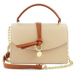 Small Leather Crossbody Bag Purse For Women Handbags Shoulder Bag With Chain Strap