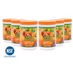 6 Pack 480G Canisters Beyond Tangy Tangerine 2.0 Citrus Peach Fusion Youngevity Multivitamin Ships Worldwide By Youngevity
