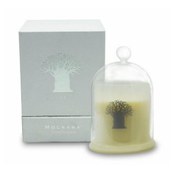 Soy Candle Sugared Grapefruit In Reusable Glass Dish