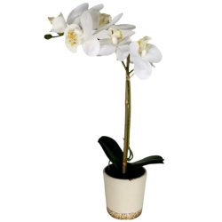 Faux White Orchid In Pot Sotran Dekorativ
