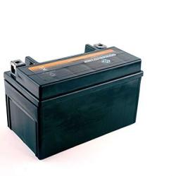 Lumix Gc 12V Battery For Champion 3400 3100 Watts Inverter Generator 100261