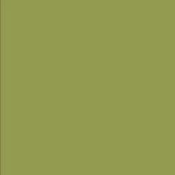Textured Cardstock - Olive 12X12 10 Sheets