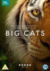 Big Cats DVD