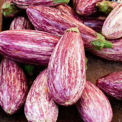 Seeds For Africa Pinstripe Eggplant - Solanum Melongena - Vegetable - 5 Seeds - The Patio Vegetable Collection