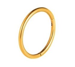 S & C Unisex Titanium Nose Ring With Hinged Section 10MM Diameter - Rose Gold