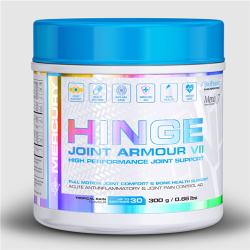 Hinge Joint Armour Vii 300G