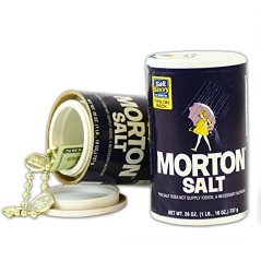 Morton Large 26OZ Salt Container Diversion Safe By Bewild