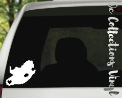 Vinyl Sticker Decal Vehicles Laptop Books Decor - Any Colour & Size - South Africa & Location