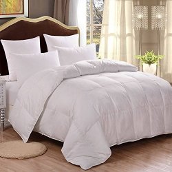 Homfy 100 Percnt Cotton Queen Comforter Duvet Insert With Corner