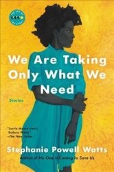 We Are Taking Only What We Need - Stories Paperback