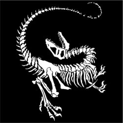 Dinosaur Skeleton Womens T-Shirt Black Xx-large