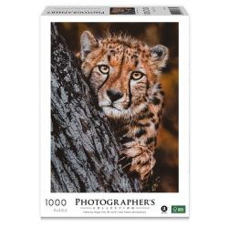 Ambassador Photographers Collection 1000 Piece Puzzle - Cheetah