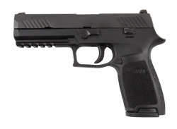 Sig Sauer P320 .40 S&w Fullsize Pistol Black