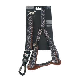 Extra Small Pet Leash & Harness Set - Assorted Colours - Black & Beige Spots